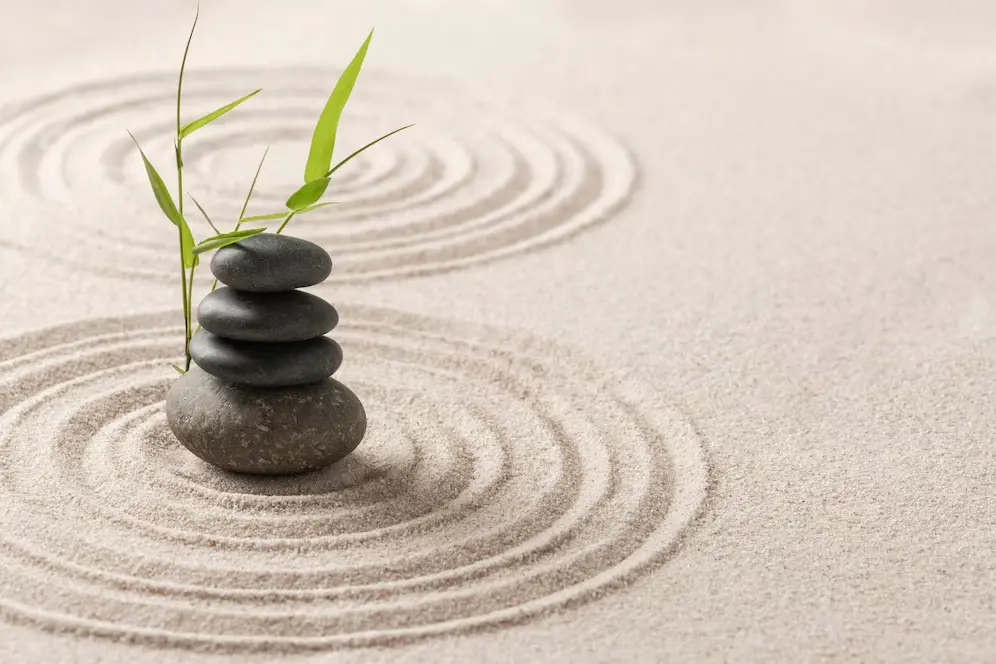 Emy Beauty Estetics - Kozmetika szegedi és budapesti szalonnal