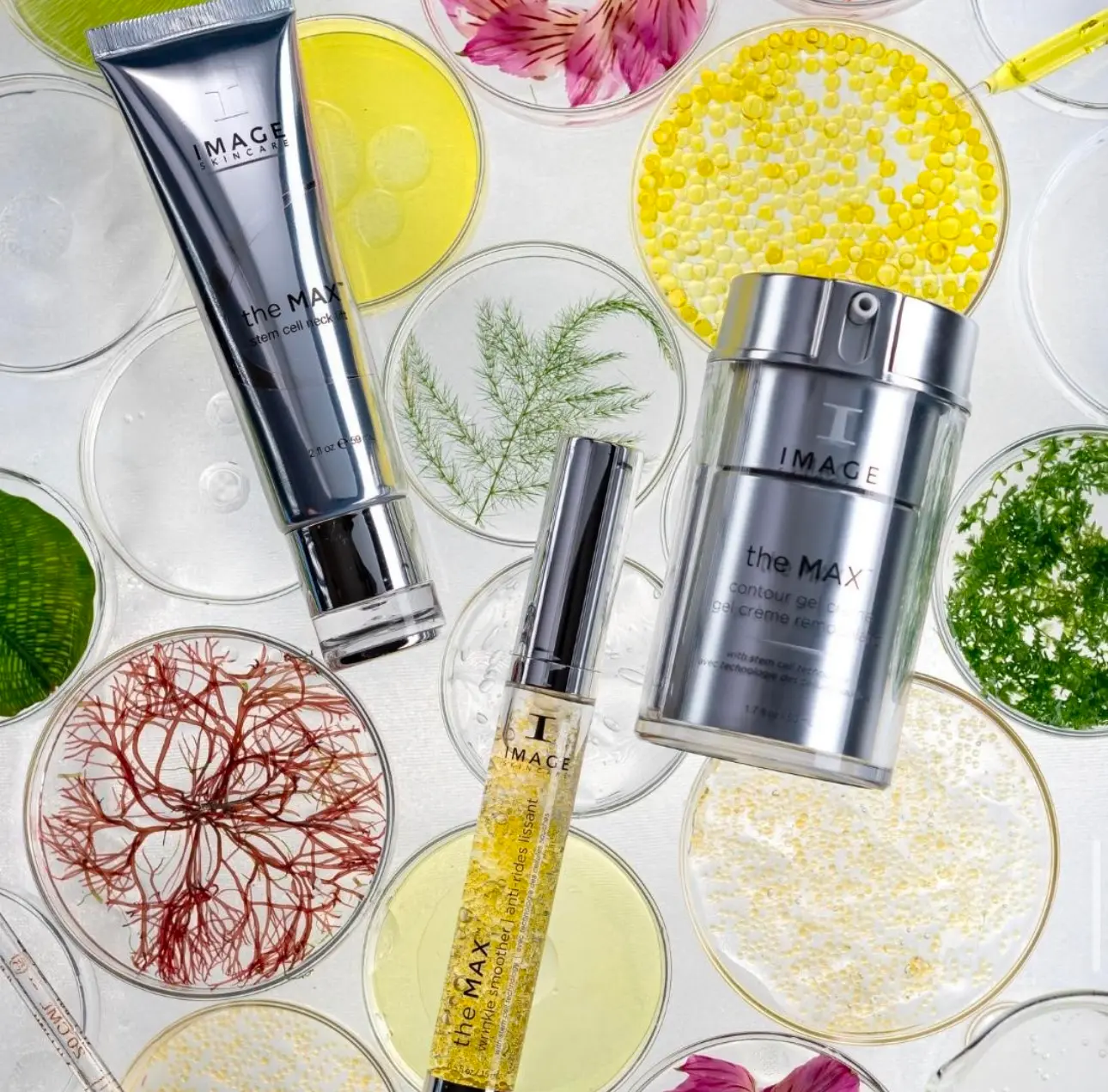 Emy Beauty Estetics - Kozmetika szegedi és budapesti szalonnal